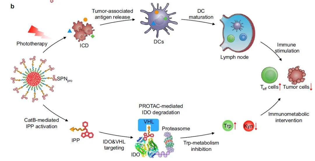 微信图片_20210531093452.jpg 微信图片_20210531093452.jpg