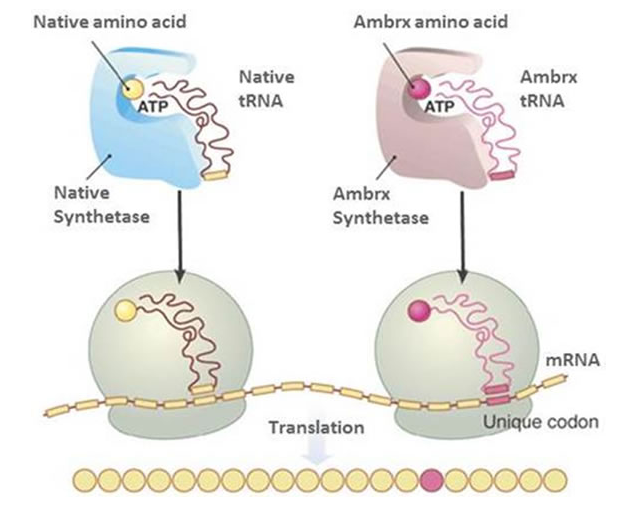 微信图片_20210603101059.png 微信图片_20210603101059.png