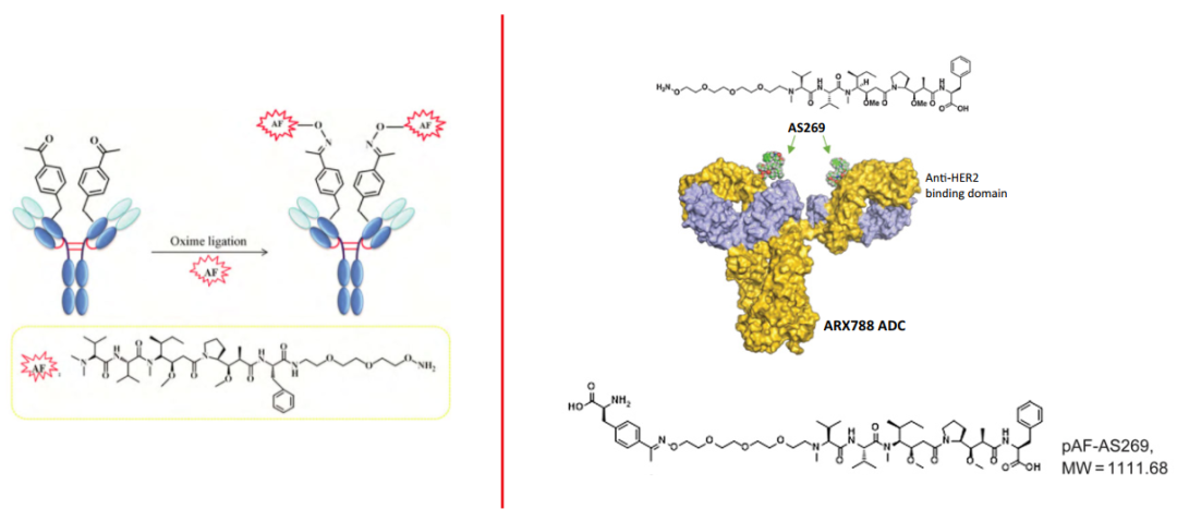 微信图片_20210603101106.png 微信图片_20210603101106.png