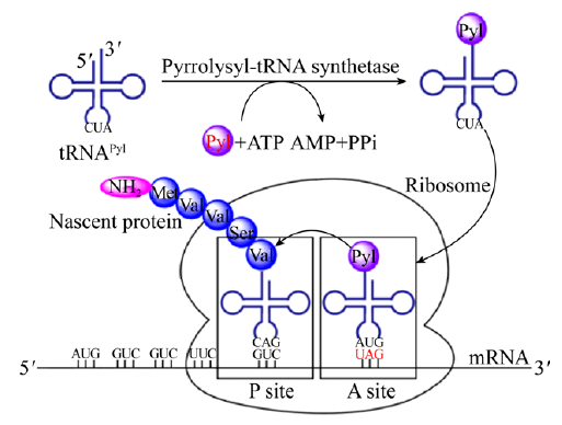 微信图片_20210603101055.png 微信图片_20210603101055.png